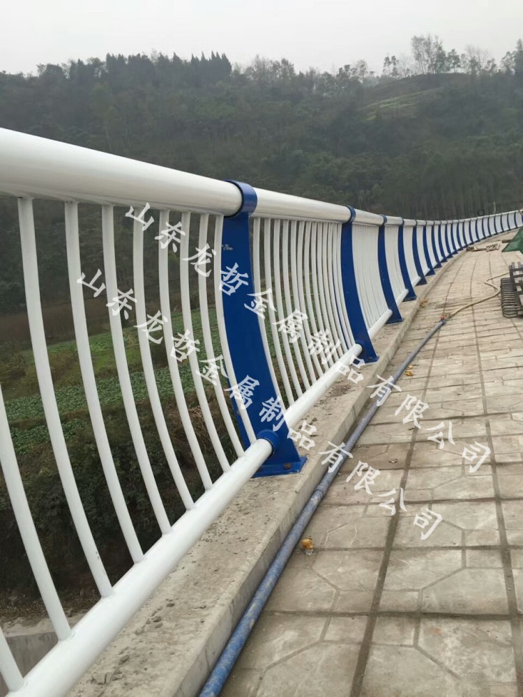 乐山桥梁钢护栏工程案例